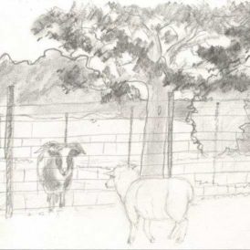 Hilza & Jeffery: A Love Story Image